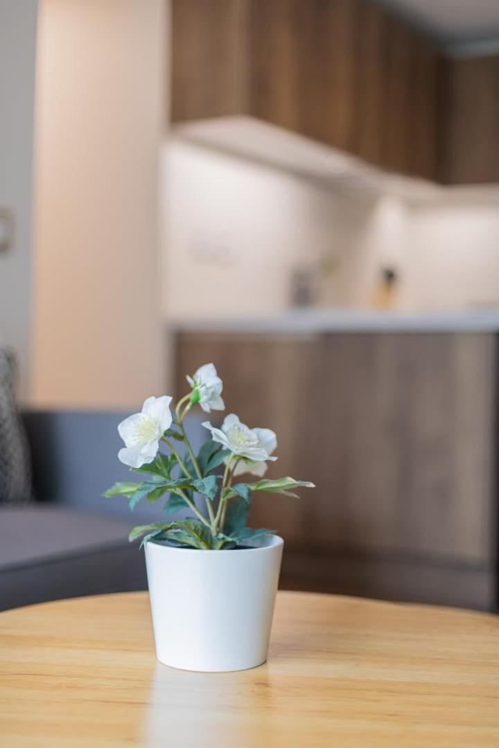 Oasis De Confort En Condes Apartamento *